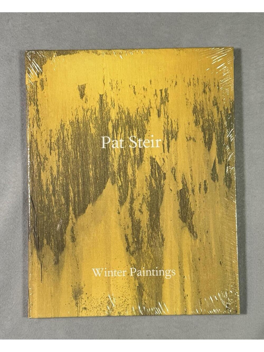 Pat Steir Winter Paintings HC Art Book w/ Dust Jacket Cheim & Read English
